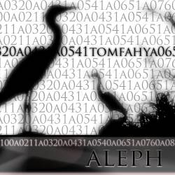 Tom Fahy : Aleph